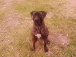 lilly_20211130_1606628849